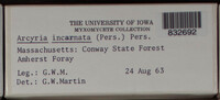 Image Associated With the Occurence